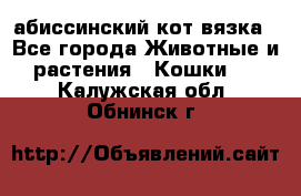 абиссинский кот вязка - Все города Животные и растения » Кошки   . Калужская обл.,Обнинск г.